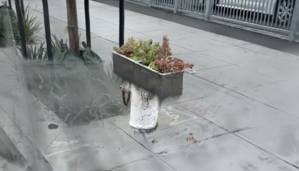 Picture of error in splat ordering resulting in distant objects incorrectly occluding closer objects